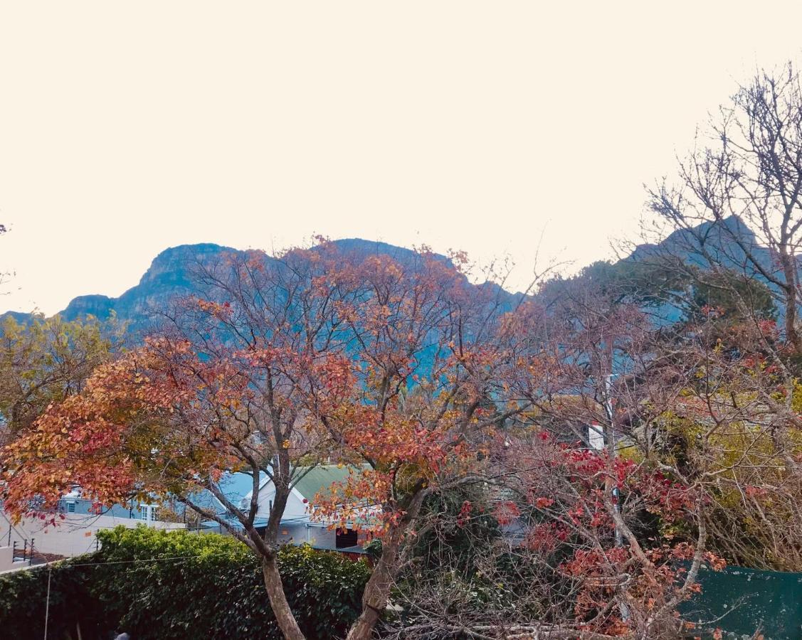 Authentic Newlands Daire Cape Town Dış mekan fotoğraf